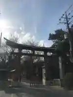 鷲宮神社(埼玉県)