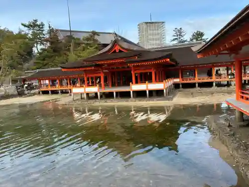 厳島神社の{uncategorized: "未分類", other: "その他", undefined: "問題あり", building: "その他建物", grave: "お墓", sacred_gate: "鳥居", guardian: "狛犬", statue: "像", buddha: "仏像", history: "歴史", nature: "自然", garden: "庭園", animal: "動物", pagoda: "塔", temizu: "手水舎", mountain_gate: "山門・神門", sanctuary: "本殿・本堂", subordinate: "末社・摂社", art: "芸術", scenery: "景色", jizo: "地蔵", ema: "絵馬", goshuin: "御朱印", omikuji: "おみくじ", items: "授与品その他", amulet: "お守り", goshuincho: "御朱印帳", eats: "食事", festival: "お祭り", votive_dance: "神楽", shichigosan: "七五三参", wedding: "結婚式", experience: "体験その他", initially: "初詣", around: "周辺", anti_infection: "感染症対策"}