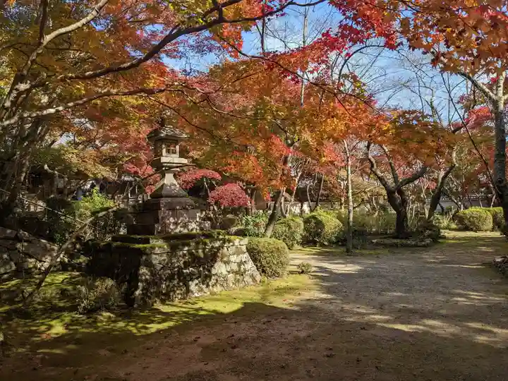 勝持寺(花の寺)(京都府)