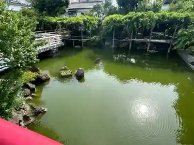 亀戸天神社(東京都)
