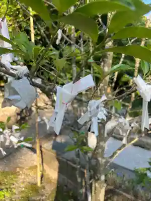 巖島神社(鹿児島県)