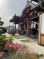 遍照院の本殿・本堂