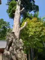 下梨地主神社の狛犬