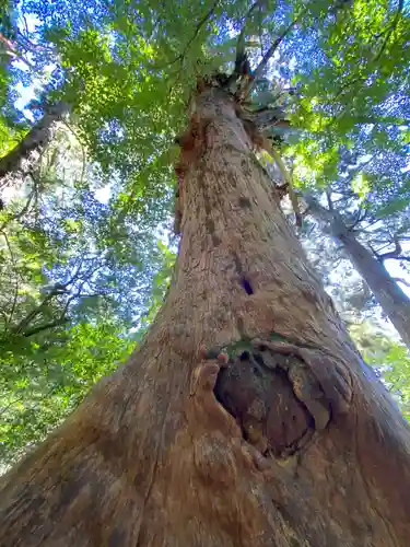 木魂神社(鹿児島県)