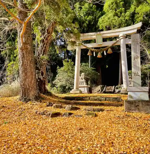 龍神社の鳥居