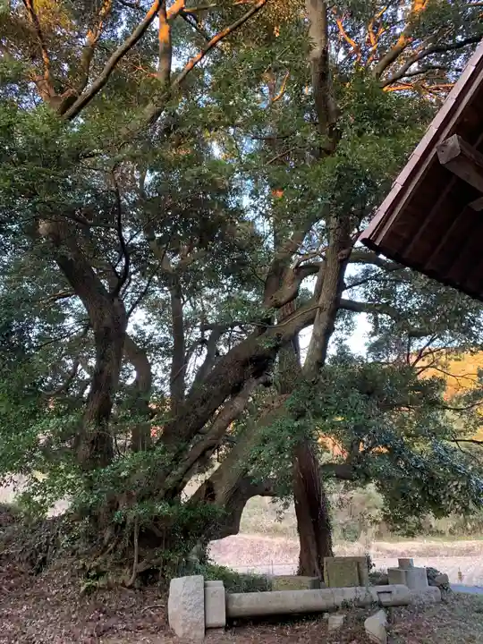 稲荷神社の自然