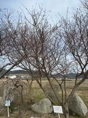 下太田廃寺塔跡(兵庫県)