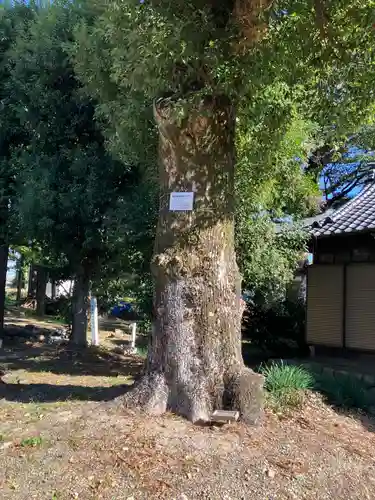 鳴海杻神社(愛知県)