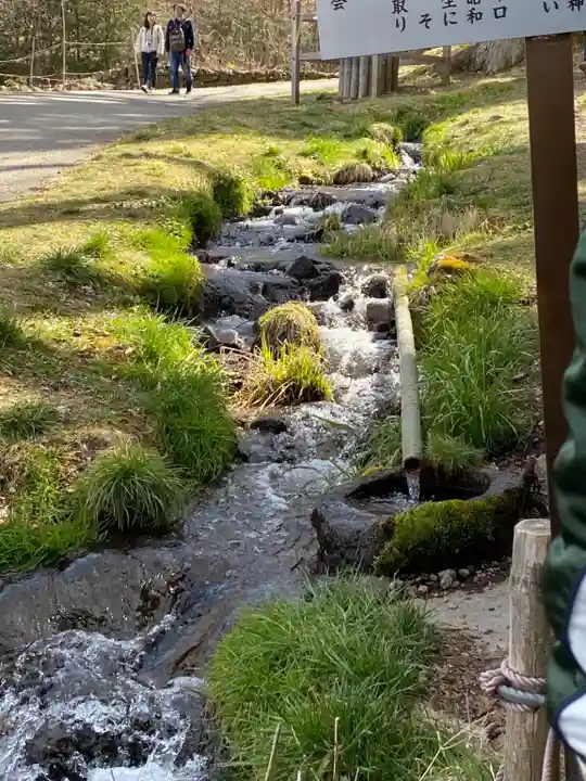 諏訪大社上社前宮の自然