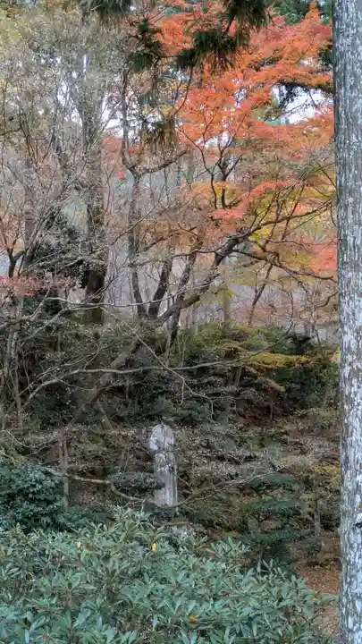 三千院門跡(京都府)
