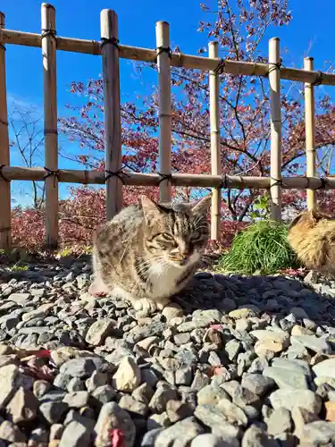 唐澤山神社(栃木県)