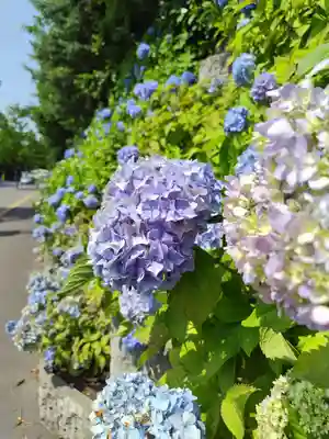 厚別神社(北海道)