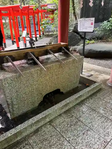 來宮神社(静岡県)