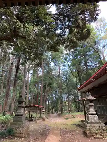 第六神社の自然