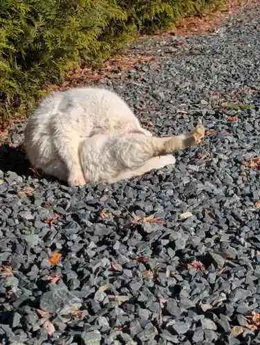 盛岡八幡宮(岩手県)