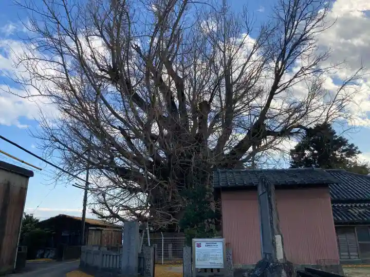 乳保神社(徳島県)