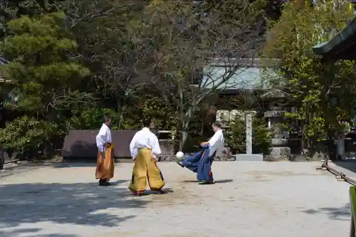 白峯神宮(京都府)