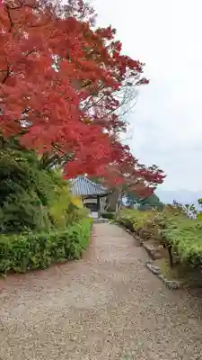 善峯寺(京都府)