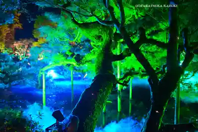 平安神宮(京都府)