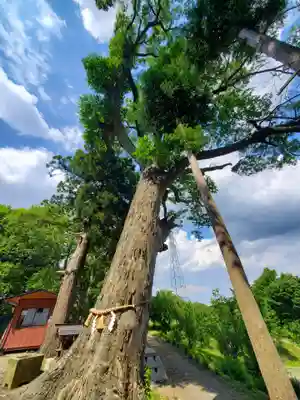 阿久津「田村神社」（郡山市阿久津町）旧社名：伊豆箱根三嶋三社(福島県)