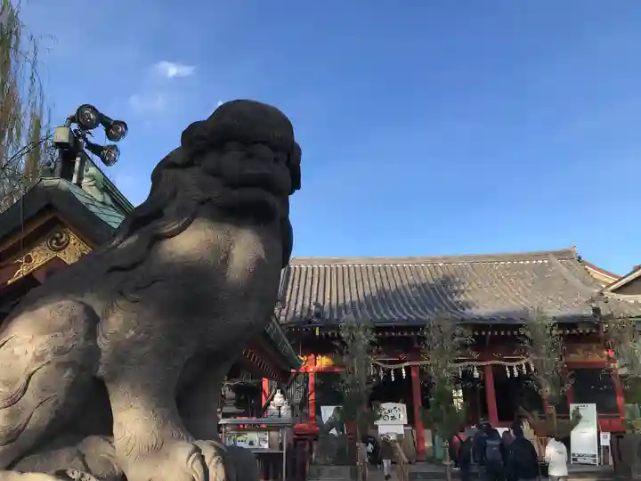 浅草神社の狛犬