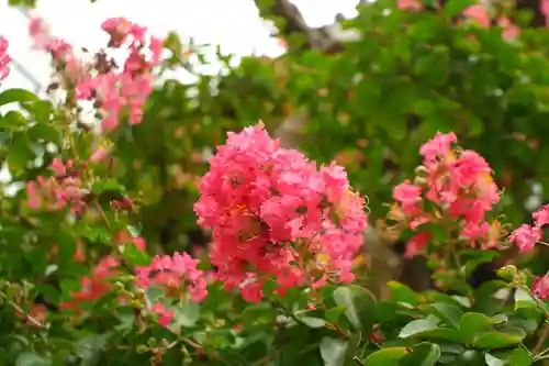 太融寺(大阪府)
