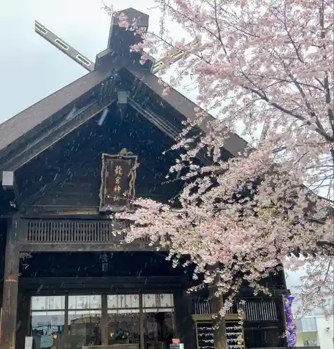 龍宮神社の本殿