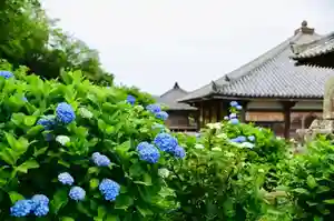 浄土寺(兵庫県)(2025年06月13日(金) 07時03分06秒投稿)