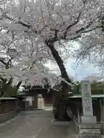 増明院(東京都)