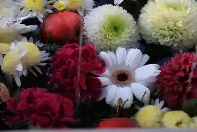 豊景神社の手水舎