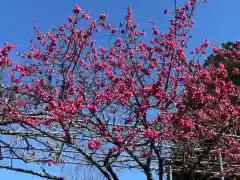 大生郷天満宮の自然