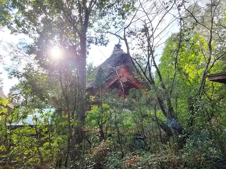 宇佐八幡宮(山口県)