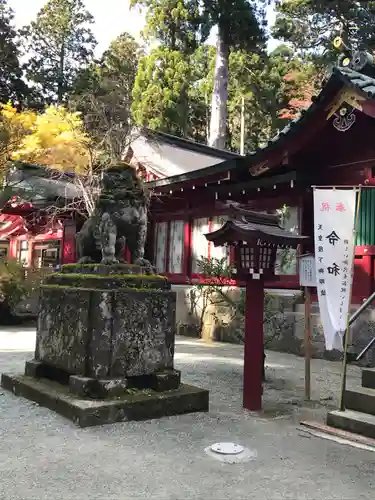 箱根神社の狛犬