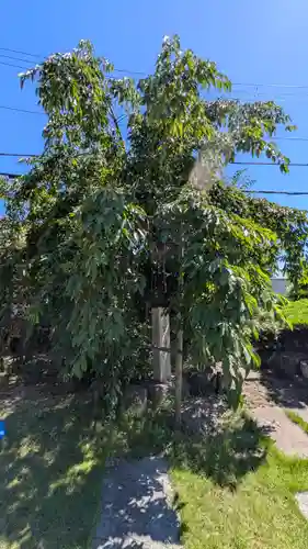 吉祥寺(大阪府)