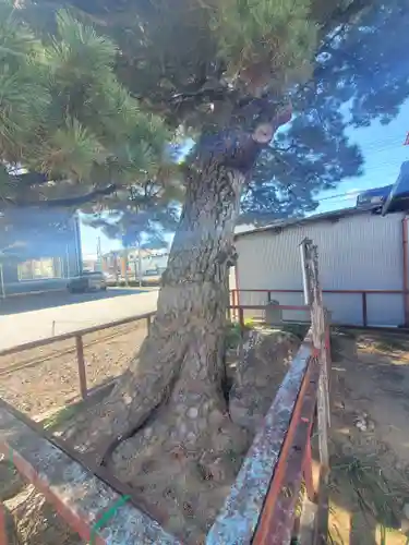 助戸阿弥陀堂(栃木県)