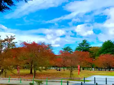 櫻岡大神宮(宮城県)