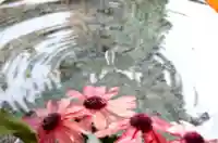 三津厳島神社の手水舎