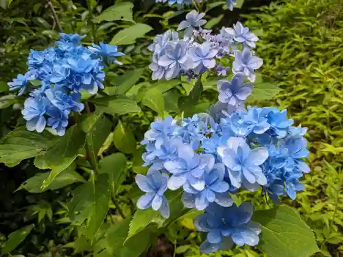 姫之宮奥宮(愛知県)