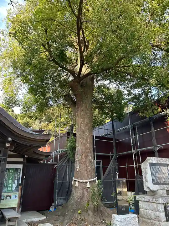 酒列磯前神社のその他建物