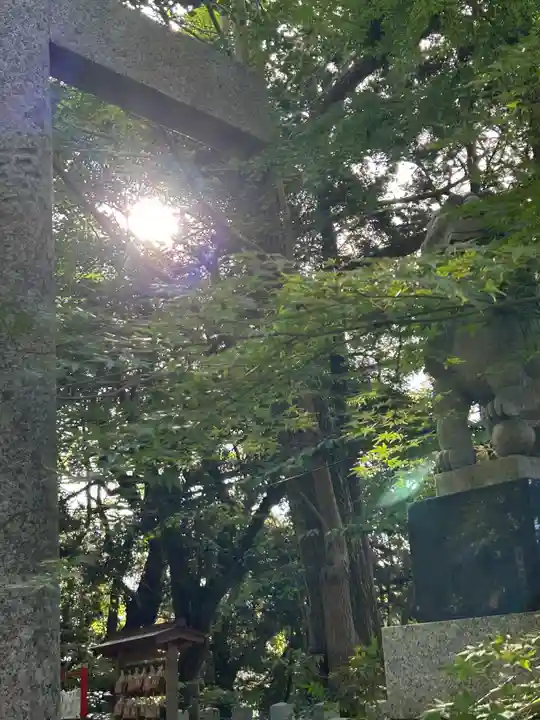 泉神社(茨城県)