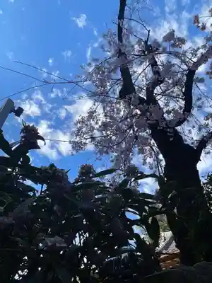 日蓮宗瑞光山久遠寺(愛知県)