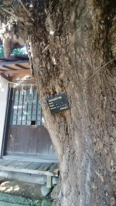 道祖神社の自然