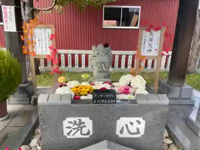 新川皇大神社の手水舎