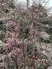 弁財天(神奈川県)