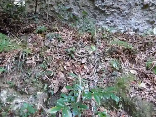 長谷寺　奥の院(大分県)