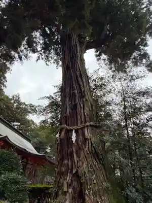 香取神宮(千葉県)