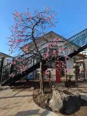 五方山熊野神社(東京都)