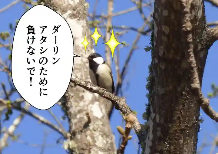 留辺蘂神社の動物