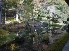 青龍山 吉祥寺の庭園