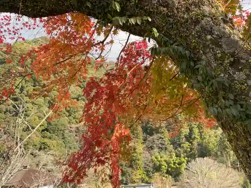長谷寺(奈良県)
